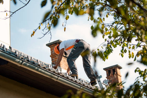 Best Commercial Roofing Services  in Evans, CO