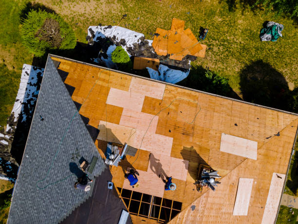 Best Roof Maintenance Services  in Evans, CO