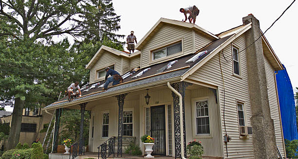 Best Shingle Roofing Installation  in Evans, CO