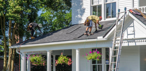 Best Roof Gutter Cleaning  in Evans, CO
