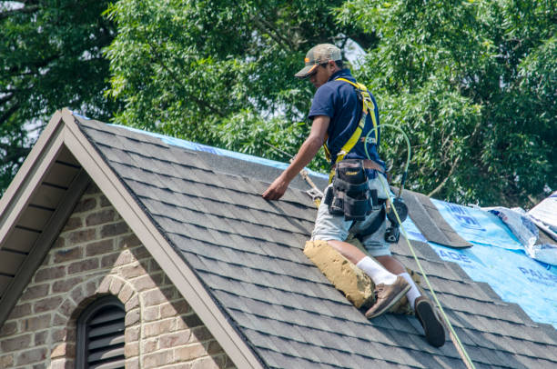 Best Commercial Roofing Services  in Evans, CO