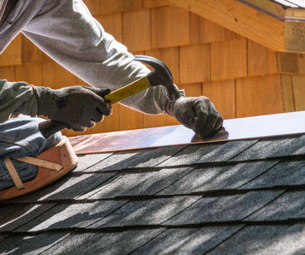 Professional Roofing Contractor in Evans, CO